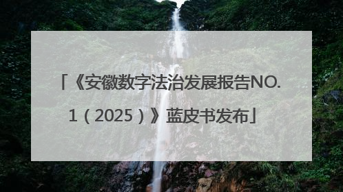 《安徽数字法治发展报告NO.1（2025）》蓝皮书发布