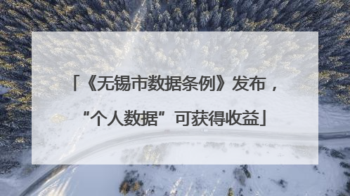 《无锡市数据条例》发布，“个人数据”可获得收益