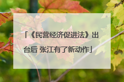 《民营经济促进法》出台后 张江有了新动作