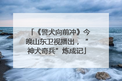 《警犬向前冲》今晚山东卫视播出，“神犬奇兵”炼成记