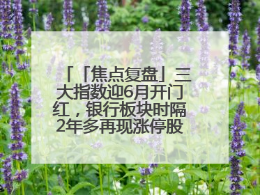 「焦点复盘」三大指数迎6月开门红，银行板块时隔2年多再现涨停股，创新药人气龙年内飙涨超3倍