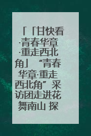 「甘快看·青春华章·重走西北角」“青春华章·重走西北角”采访团走进花舞南山 探寻天水乡村振兴之路