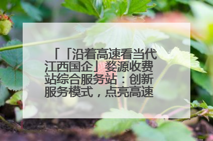 「沿着高速看当代江西国企」婺源收费站综合服务站：创新服务模式，点亮高速出行新体验