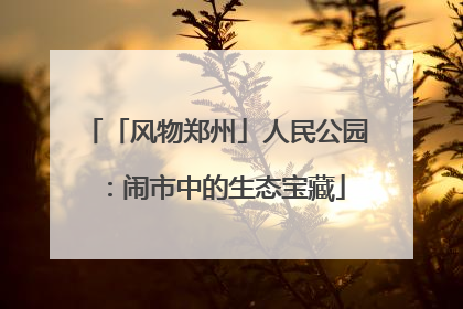 「风物郑州」人民公园：闹市中的生态宝藏