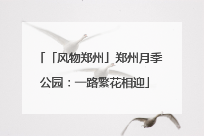 「风物郑州」郑州月季公园：一路繁花相迎