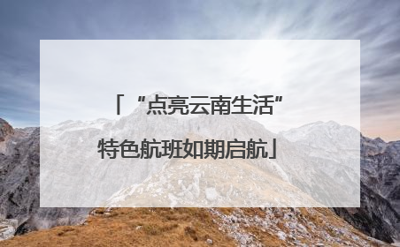 “点亮云南生活”特色航班如期启航