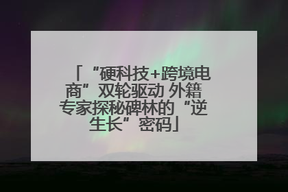 “硬科技+跨境电商”双轮驱动 外籍专家探秘碑林的“逆生长”密码