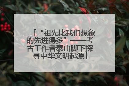 “祖先比我们想象的先进得多”——考古工作者泰山脚下探寻中华文明起源