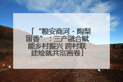 “粮安商河・陶梨留香”：三产融合赋能乡村振兴 跨村联建绘就共富画卷