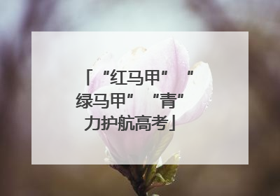 “红马甲”“绿马甲”“青”力护航高考