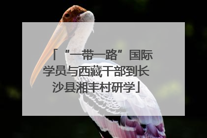 “一带一路”国际学员与西藏干部到长沙县湘丰村研学