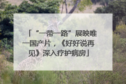 “一带一路”展映唯一国产片，《好好说再见》深入疗护病房