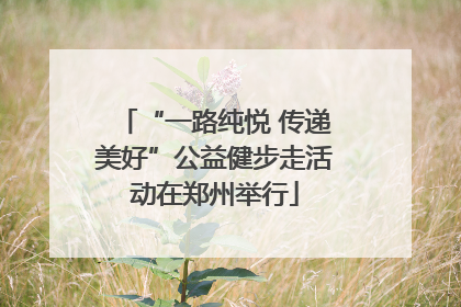 “一路纯悦 传递美好”公益健步走活动在郑州举行