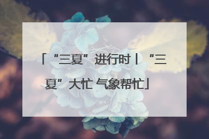 “三夏”进行时丨“三夏”大忙 气象帮忙