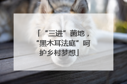“三进”菌地，“黑木耳法庭”呵护乡村梦想