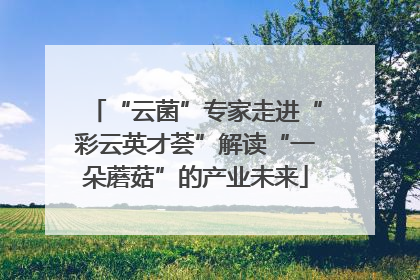 “云菌”专家走进“彩云英才荟”解读“一朵蘑菇”的产业未来