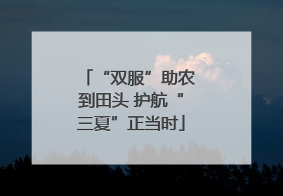 “双服”助农到田头 护航“三夏”正当时