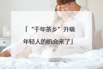 “千年茶乡”升级 年轻人的机会来了