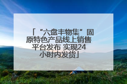“六盘丰物集”固原特色产品线上销售平台发布 实现24小时内发货
