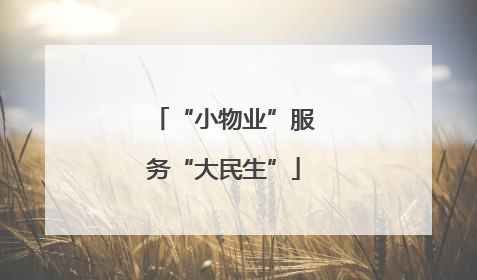 “小物业”服务“大民生”