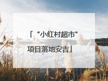 “小红村超市”项目落地安吉