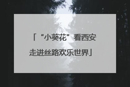 “小葵花”看西安走进丝路欢乐世界