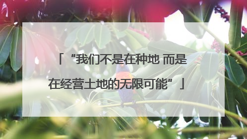 “我们不是在种地 而是在经营土地的无限可能”