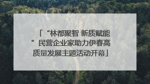 “林都聚智 新质赋能”民营企业家助力伊春高质量发展主题活动开幕