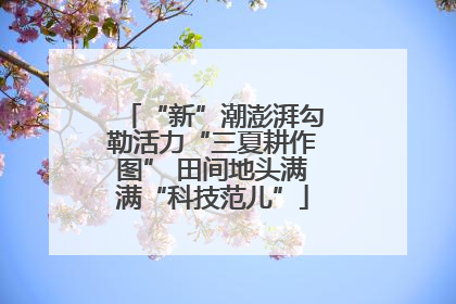 “新”潮澎湃勾勒活力“三夏耕作图” 田间地头满满“科技范儿”