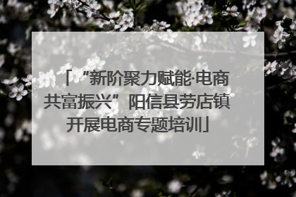 “新阶聚力赋能·电商共富振兴”阳信县劳店镇开展电商专题培训
