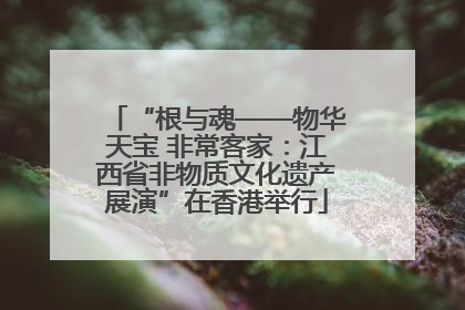 “根与魂——物华天宝 非常客家：江西省非物质文化遗产展演”在香港举行