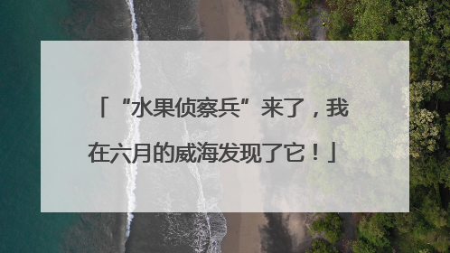 “水果侦察兵”来了，我在六月的威海发现了它！