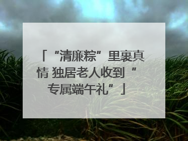 “清廉粽”里裹真情 独居老人收到“专属端午礼”