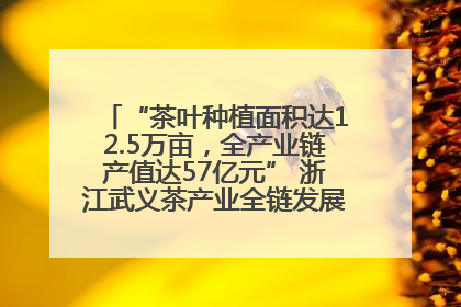 “茶叶种植面积达12.5万亩，全产业链产值达57亿元” 浙江武义茶产业全链发展“加速度”