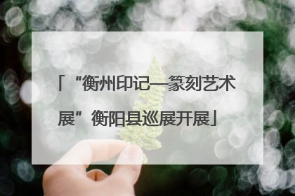 “衡州印记—篆刻艺术展”衡阳县巡展开展