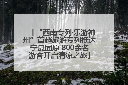 “西南专列·乐游神州”首趟旅游专列抵达宁夏固原 800余名游客开启清凉之旅