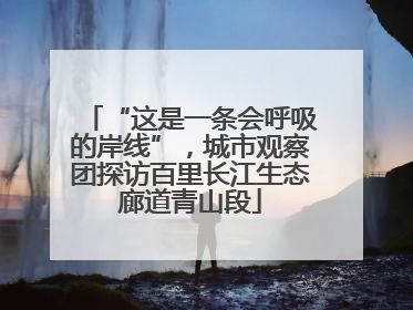 “这是一条会呼吸的岸线”，城市观察团探访百里长江生态廊道青山段