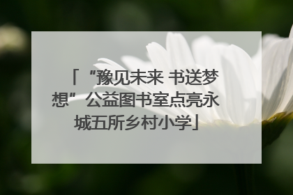 “豫见未来 书送梦想”公益图书室点亮永城五所乡村小学