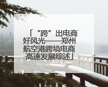 “跨”出电商好风光——郑州航空港跨境电商高速发展综述