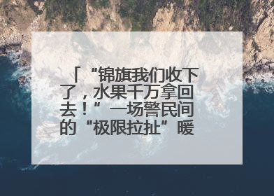 “锦旗我们收下了，水果千万拿回去！”一场警民间的“极限拉扯”暖了整个城