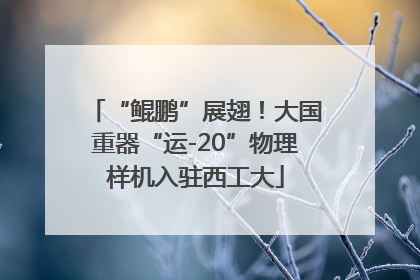 “鲲鹏”展翅！大国重器“运-20”物理样机入驻西工大