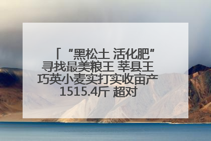 “黑松土 活化肥”寻找最美粮王 莘县王巧英小麦实打实收亩产1515.4斤 超对照田144斤！