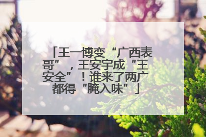 王一博变“广西表哥”，王安宇成“王安全”！谁来了两广都得“腌入味”