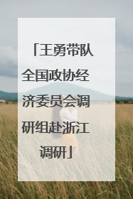 王勇带队全国政协经济委员会调研组赴浙江调研