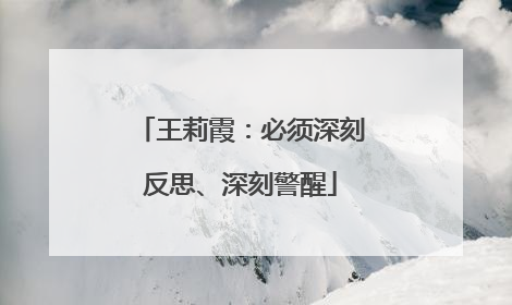 王莉霞：必须深刻反思、深刻警醒