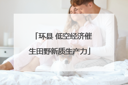 环县 低空经济催生田野新质生产力