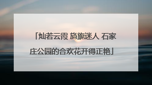 灿若云霞 旖旎迷人 石家庄公园的合欢花开得正艳