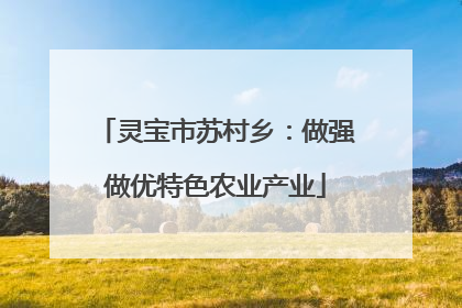 灵宝市苏村乡：做强做优特色农业产业