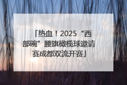 热血！2025“西部碗”腰旗橄榄球邀请赛成都双流开赛
