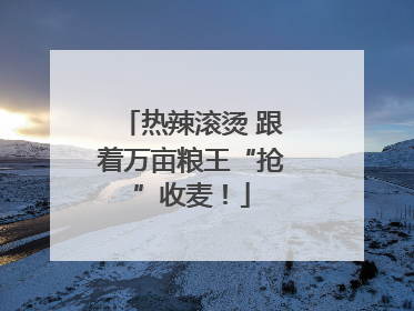 热辣滚烫 跟着万亩粮王“抢”收麦！